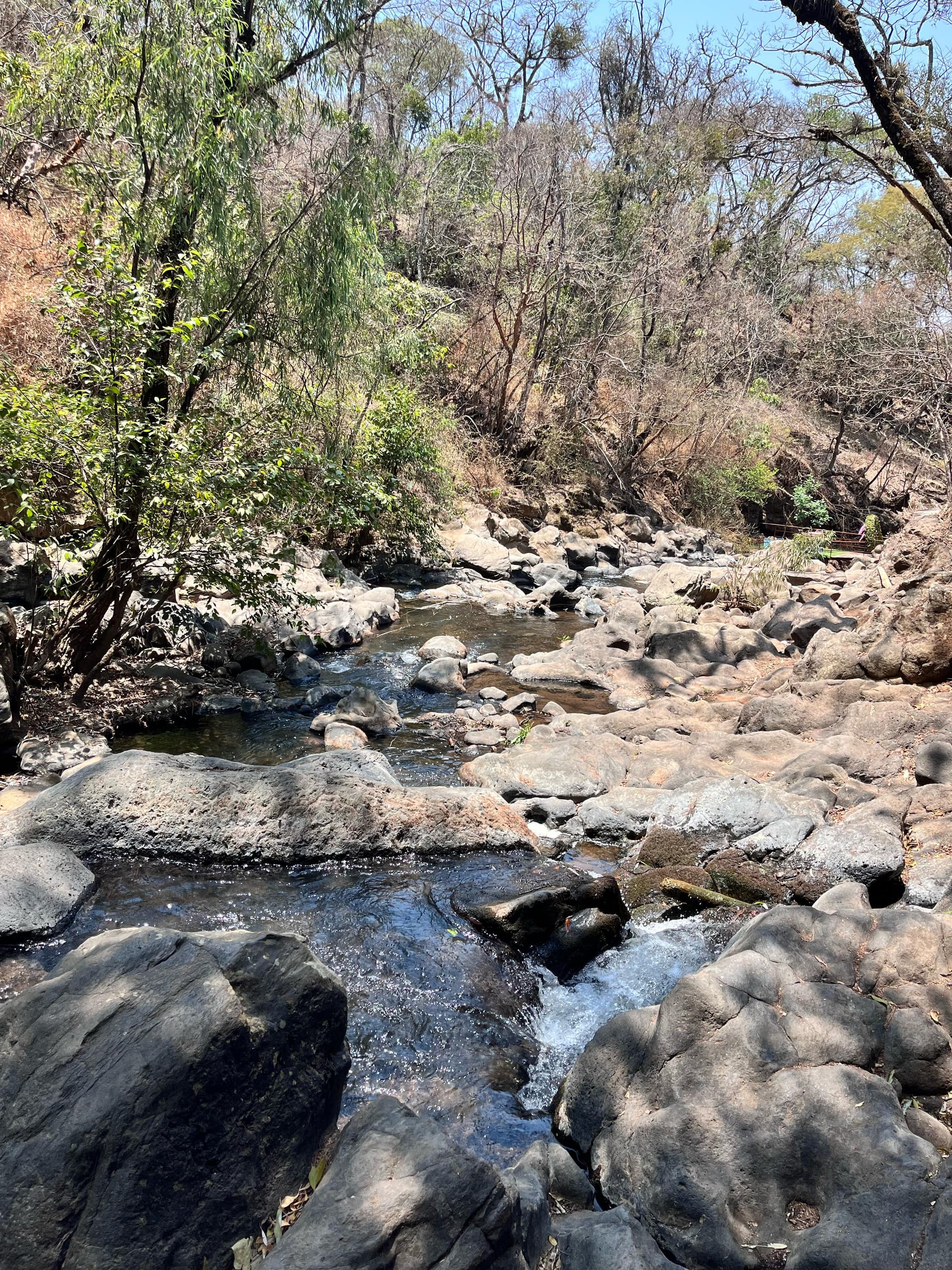 Hotel & Resort Oasis Mazamitla galeria inferior 2